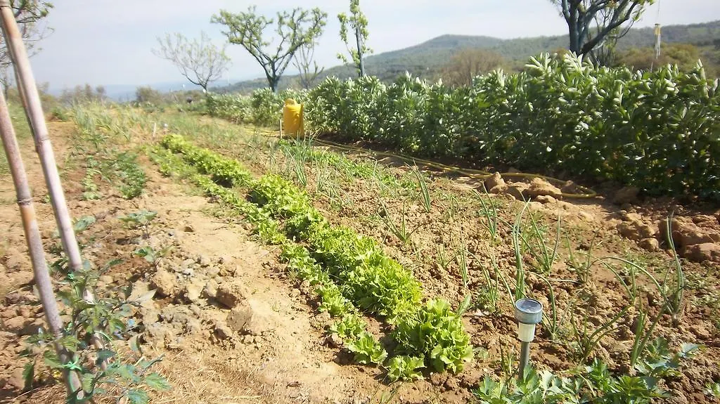 Appartamento Casale In Maremma Pancole